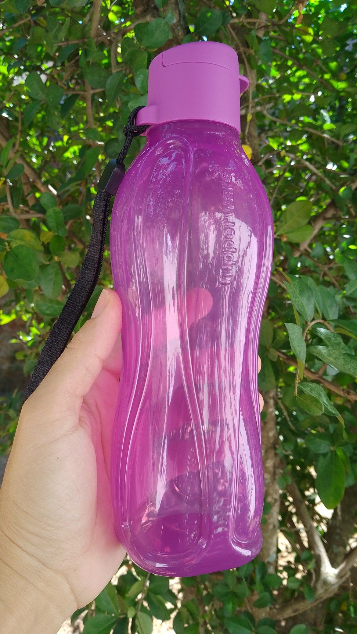 Water Bottle - Plastic - Purple