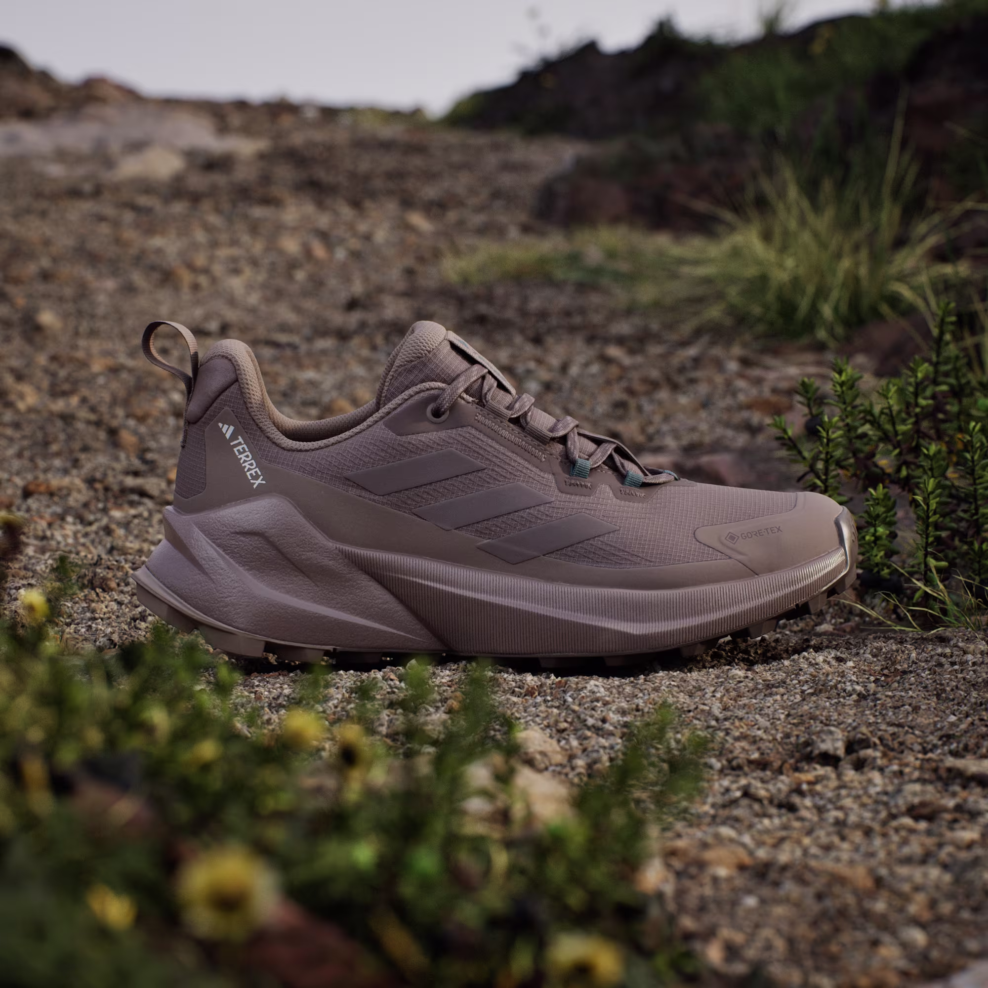 Classic Day Hiking Shoe Graphite