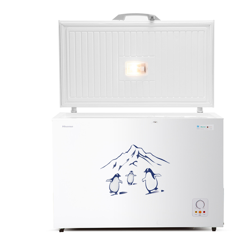 Hisense 550L - Freezer