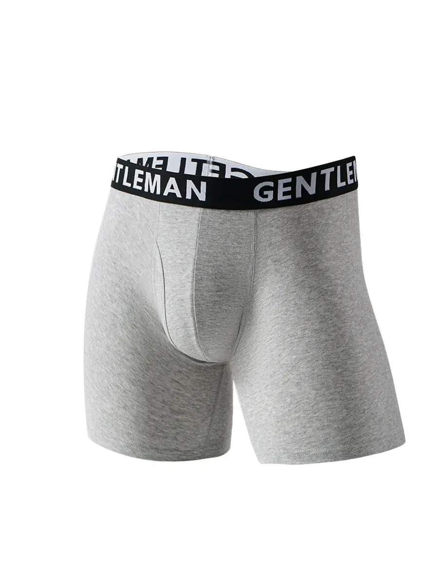 Men's Briefs Classic
