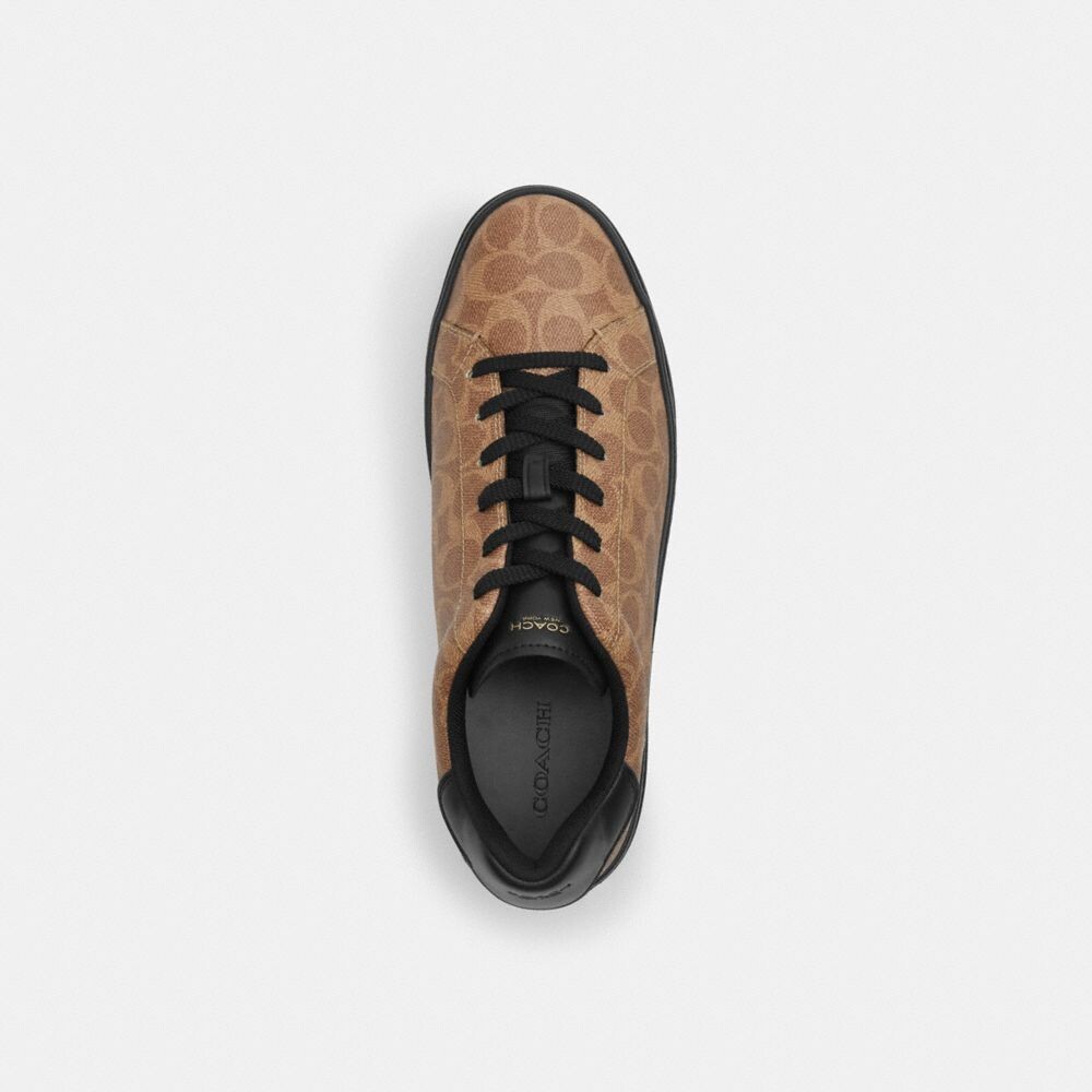 Signature Canvas Sneaker Sand