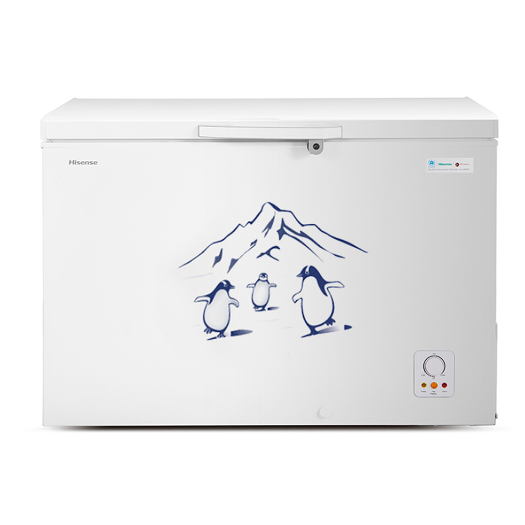Hisense 310L - Freezer