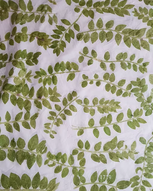 Sarong - Green