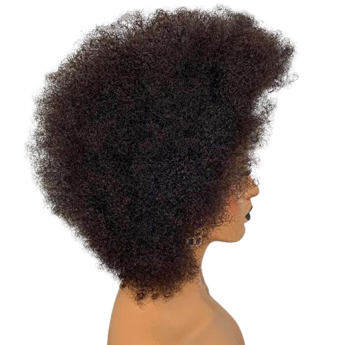 Short Afro Kinky Curly Hair Wig With Hairline - 13x4 Front Wigs For Black Women