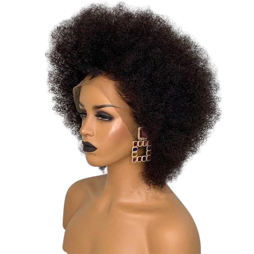Short Afro Kinky Curly Hair Wig With Hairline - 13x4 Front Wigs For Black Women