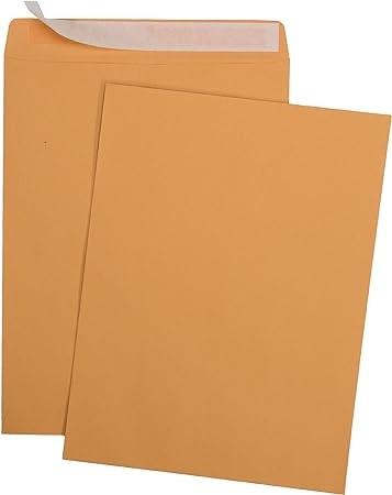 100 pieces Self-Seal Brown Kraft Catalog Mailing Envelopes - 28lb - 100 Count, 9x12 Inch (38300)
