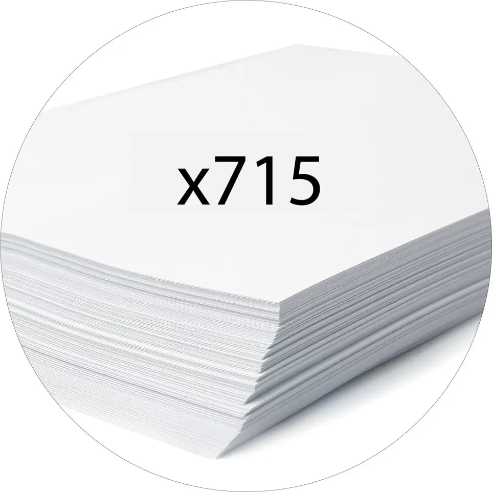 Premium Archival Box Files with Secure Snap Closure, Reinforced Corners, and Label Holder - Ideal for Office Organization, Document Storage, and Filing Systems (Pack of 10)