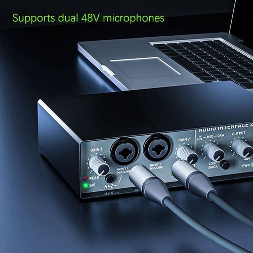 Sound Card Professional Dual 48V Microphones with a Resolution of 24 Bits / 192Khz Sound Card for Pc Live Recording