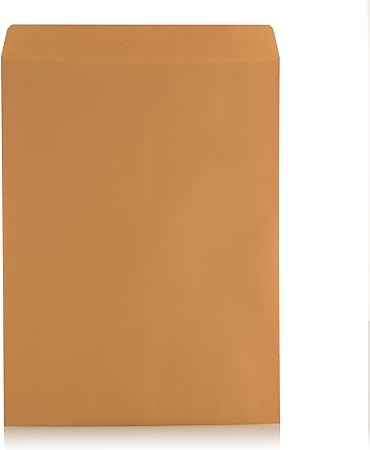 100 pieces Self-Seal Brown Kraft Catalog Mailing Envelopes - 28lb - 100 Count, 9x12 Inch (38300)