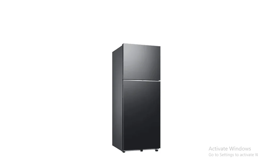 Samsung 300L Double Door Fridge - Black