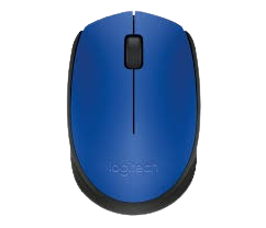 Logitec M171 Wireless Optical Mouse - Black